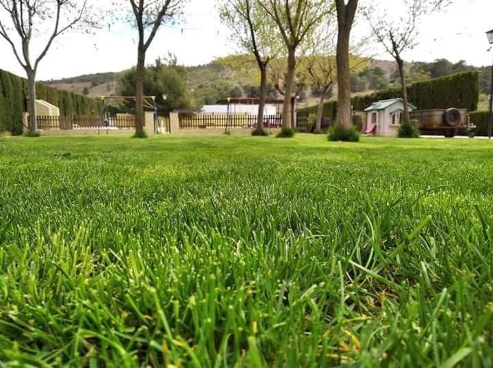 Con Piscina Homestay